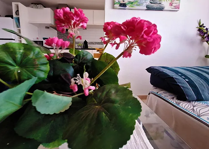 Carabassi Playa * Puerto Marino